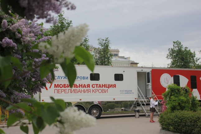 Вышивальные швы Рукоделие для дома : ДЛЯ НАЧИНАЮЩИХ Все математические раскраски