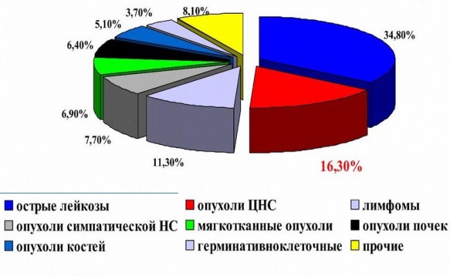 Сравнительная частота различных опухолей у детей (по данным МЗ РФ) Сравнительная частота различных опухолей у детей (по данным МЗ РФ)