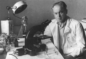 Л.А. Зильбер Л.А. Зильбер